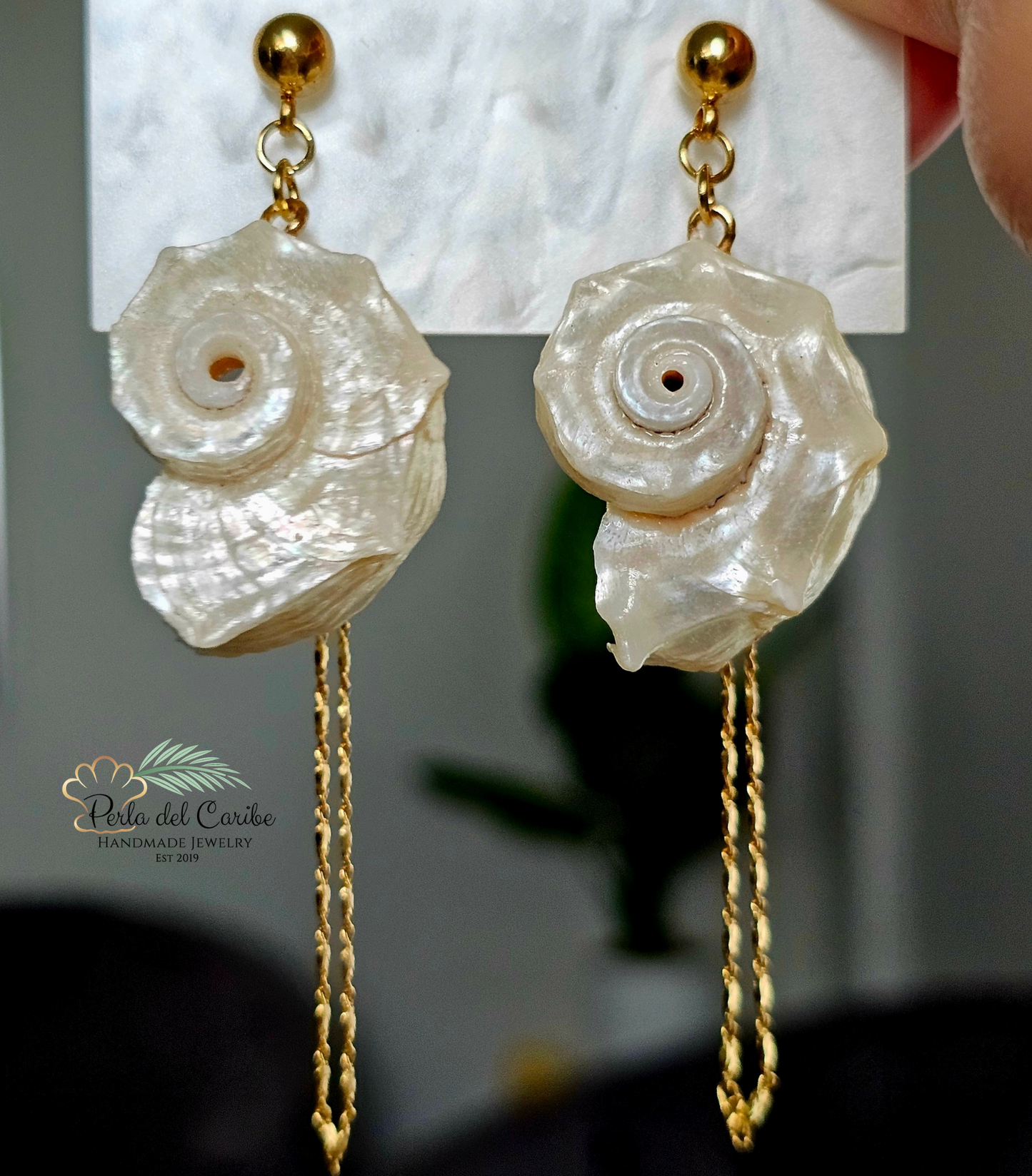 Shell Conch Earrings
