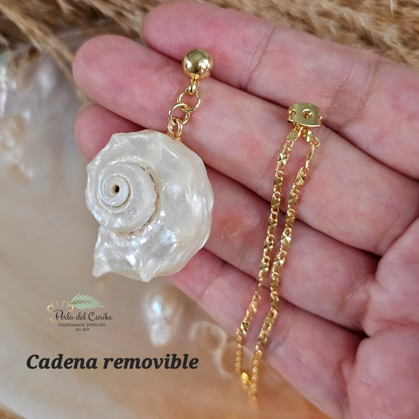 Shell Conch Earrings
