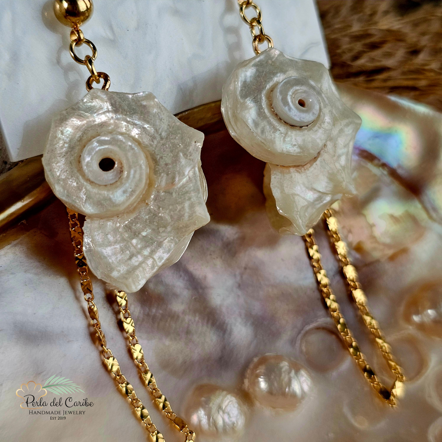 Shell Conch Earrings