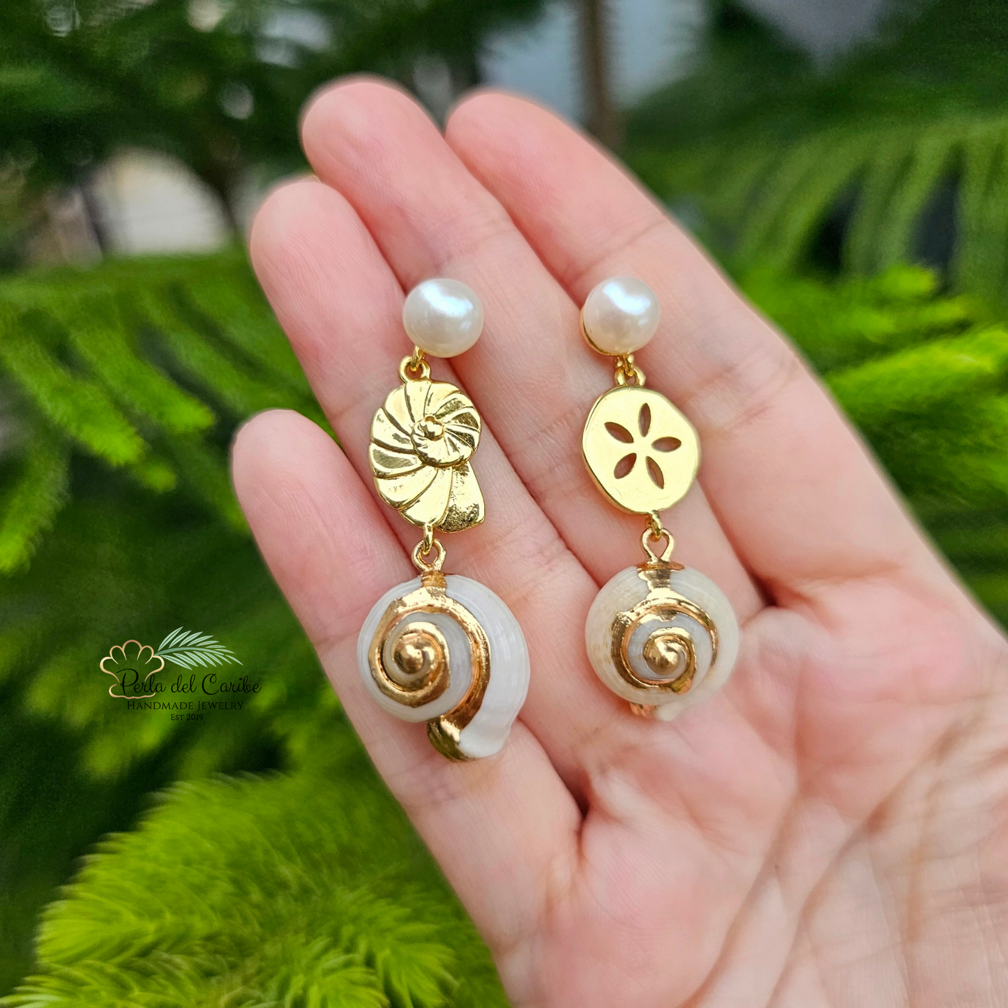 Sea Shell Earrings
