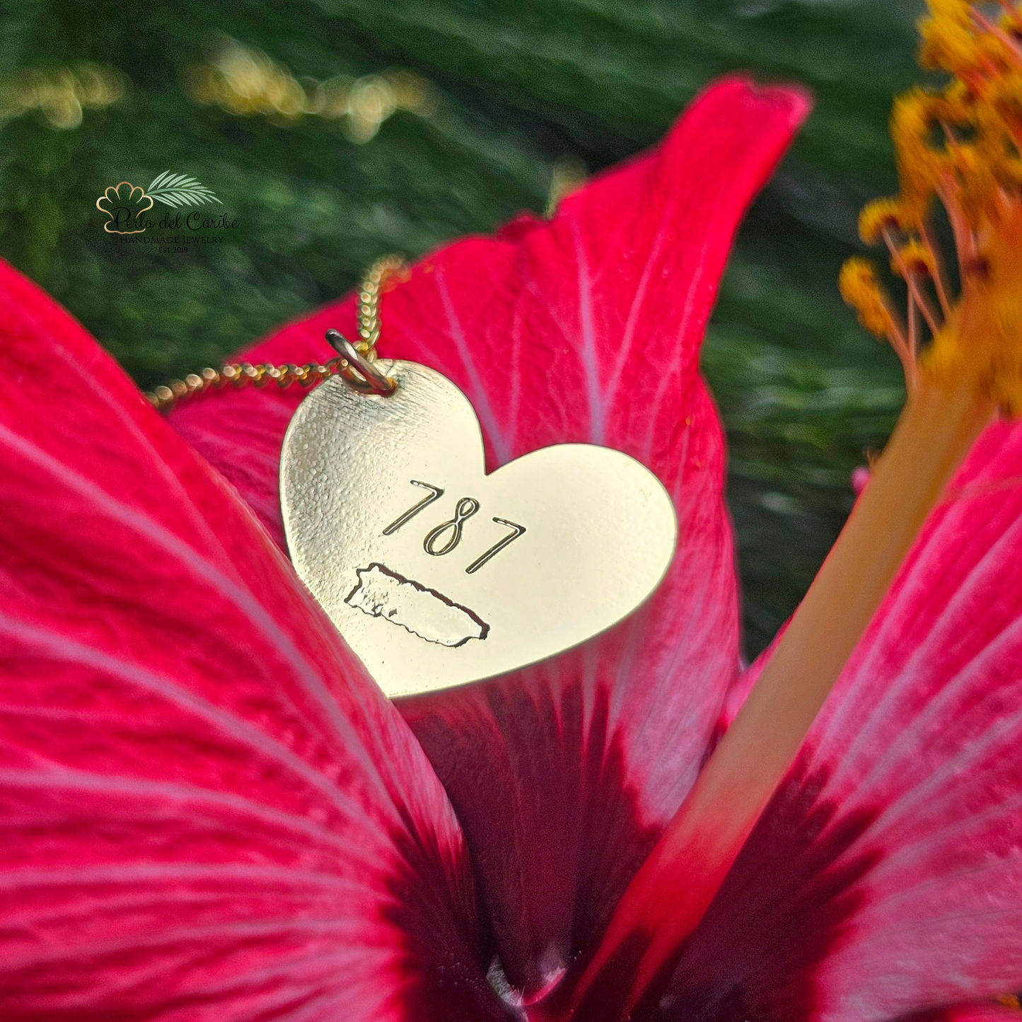 787 Heart Chain