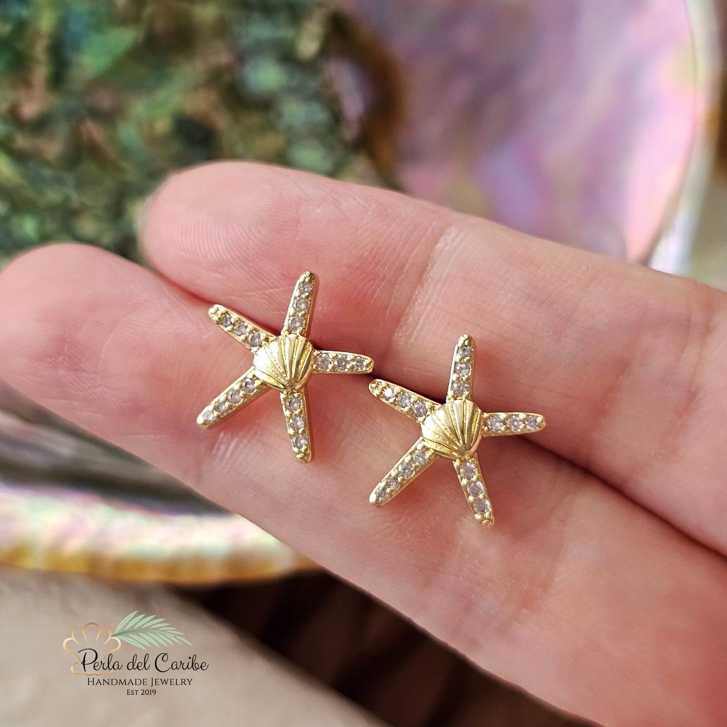 Shell & Starfish  Studs/ Chain